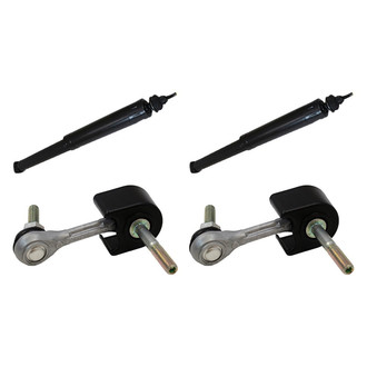 Motorcraft® - Rear Complete Strut Assemblies and Stabilizer Bar Link Kit