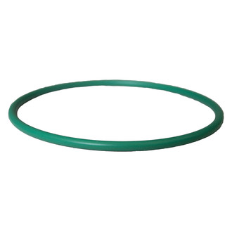 Motorcraft® - Fuel Pump Tank Seal