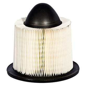 Motorcraft® - Air Filter