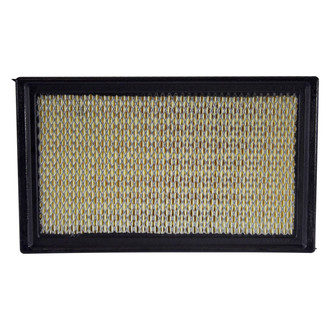 Motorcraft® - Panel Air Filter