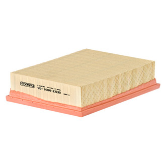 Motorcraft® - Air Filter