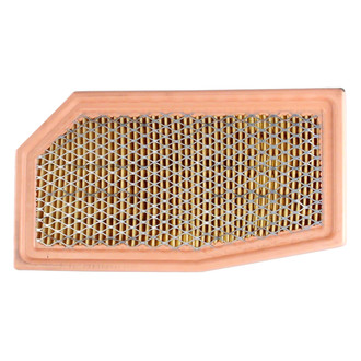 Motorcraft® - Air Filter