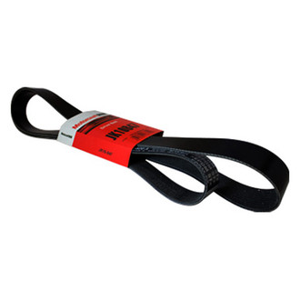 Motorcraft® - Serpentine Belt