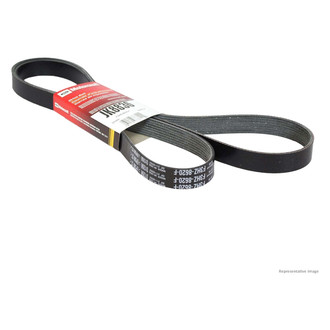 Motorcraft® - V-Belt