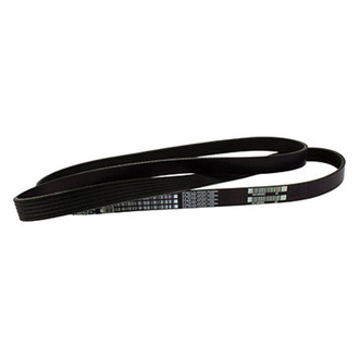 Motorcraft® - Serpentine Belt