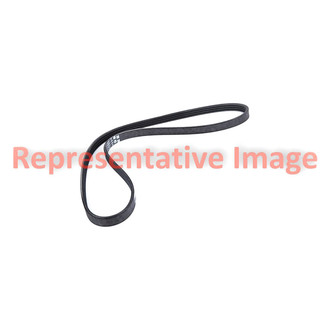 Motorcraft® - Serpentine Belt