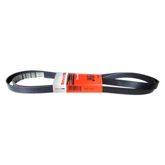 Motorcraft® - Serpentine Belt