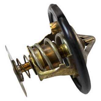 Motorcraft® - Thermostat