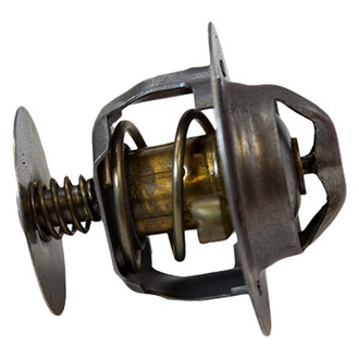 Motorcraft® - Thermostat