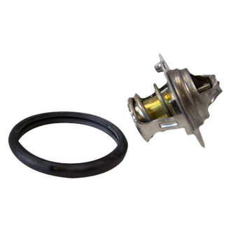 Motorcraft® - Thermostat