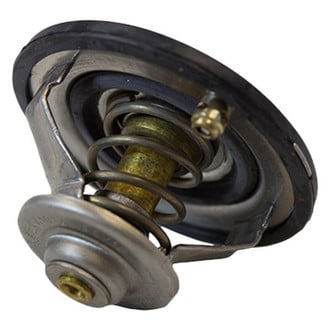 Motorcraft® - Thermostat