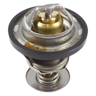 Motorcraft® - Thermostat