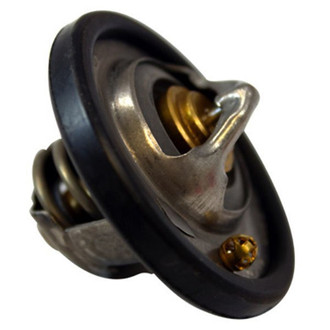Motorcraft® - Thermostat