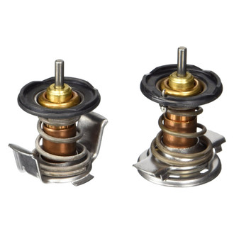 Motorcraft® - Thermostat Kit