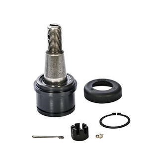 Motorcraft® - Front Lower Ball Joint