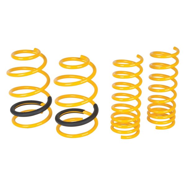 Mountune® - 1" x 1.4" Sport Front and Rear Lowering Coil Springs
