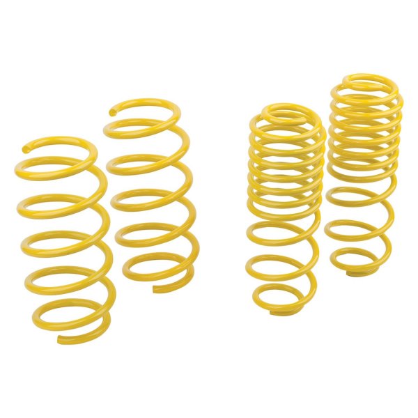 Mountune® - 1.1" x 0.8" Sport Front and Rear Lowering Coil Springs