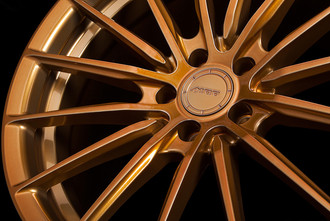 Shiny Bronze