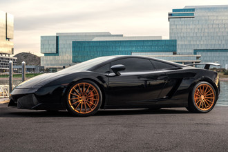 FS2 Bronze on Lamborghini