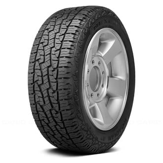 NEXEN® - ROADIAN AT PRO RA8