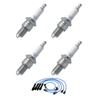 NGK® - Spark Plug Wire and Spark Plug Kit