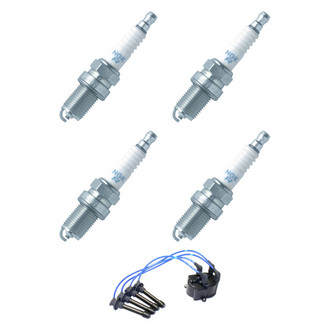 NGK® - Spark Plug Wire and Spark Plug Kit