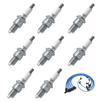 NGK® - Spark Plug Wire and Spark Plug Kit