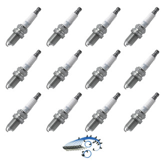 NGK® - Spark Plug Wire and Spark Plug Kit
