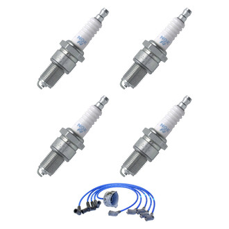 NGK® - Spark Plug Wire and Spark Plug Kit
