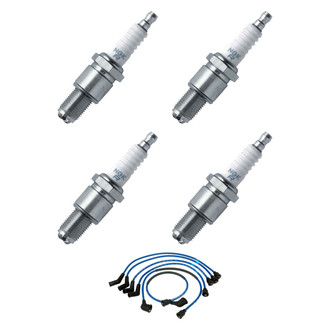 NGK® - Spark Plug Wire and Spark Plug Kit