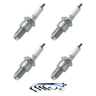 NGK® - Spark Plug Wire and Spark Plug Kit