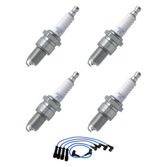 NGK® - Spark Plug Wire and Spark Plug Kit