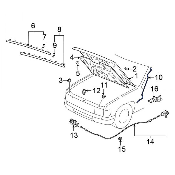 Hood & Trunk Prop Rod