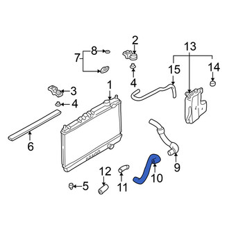 Nissan OE - Lower Radiator Coolant Hose