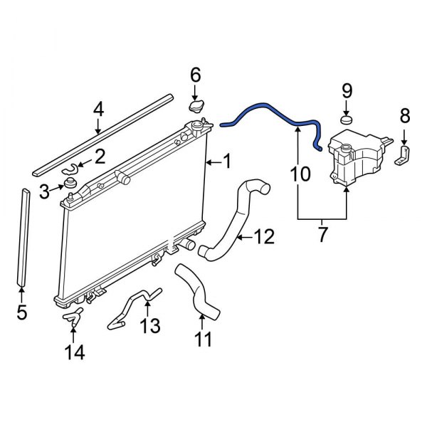 Engine Coolant Reservoir Hose