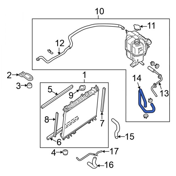 Engine Coolant Reservoir Hose