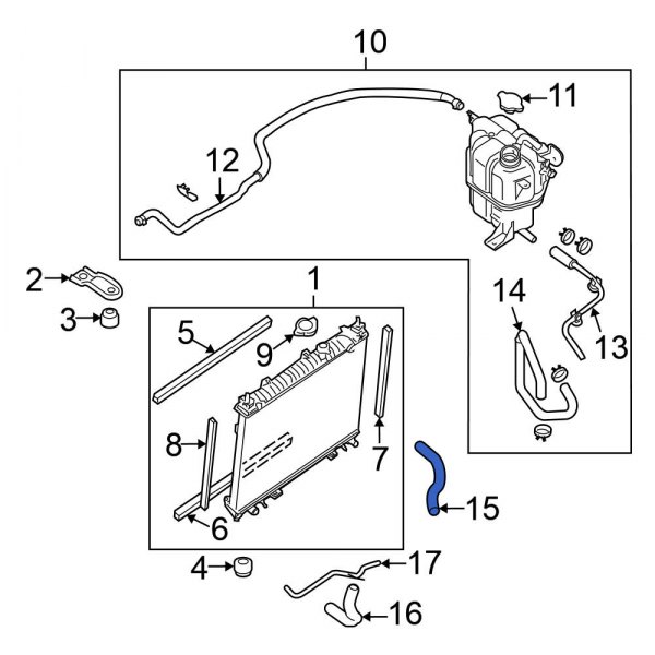 Radiator Coolant Hose