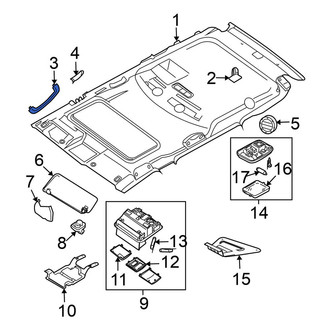 Nissan OE - Front Left Interior Grab Bar