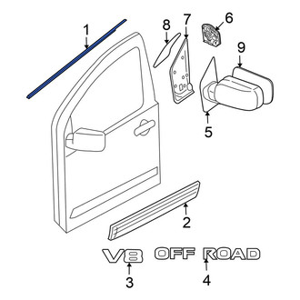 Nissan OE - Front Left Door Belt Molding