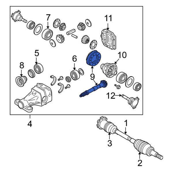 Differential Ring and Pinion