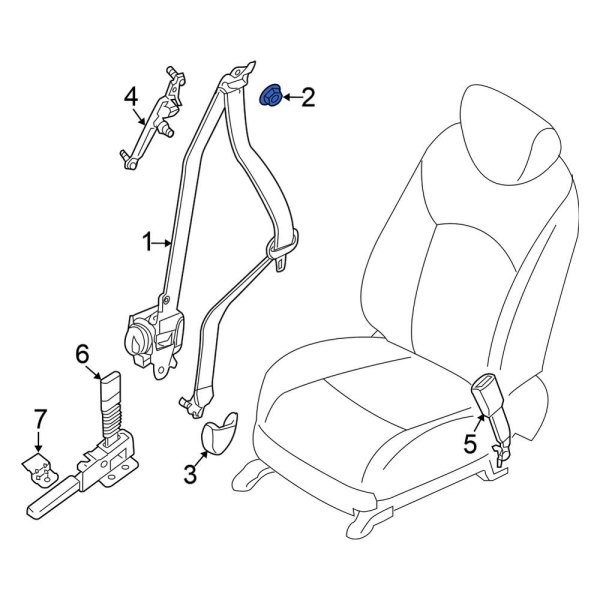 Seat Belt Lap and Shoulder Belt Nut