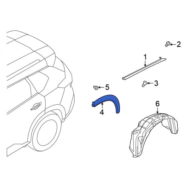 Wheel Arch Molding