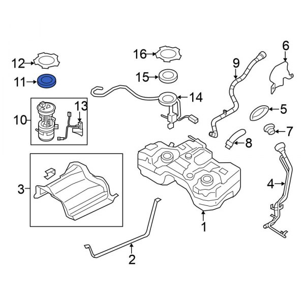 Fuel Pump Tank Seal