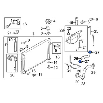 Nissan OE - Radiator Hose Clamp