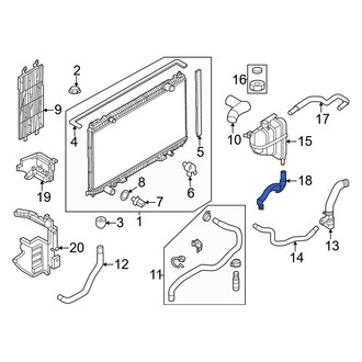 Nissan OE - Lower Engine Coolant Overflow Hose