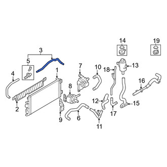 Nissan OE - Right Radiator Coolant Hose