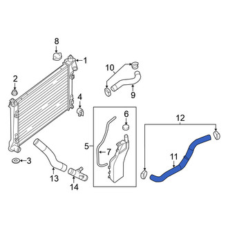Nissan OE - Lower Radiator Coolant Hose