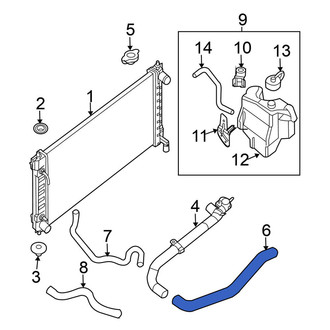 Nissan OE - Lower Radiator Coolant Hose