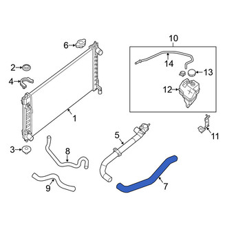 Nissan OE - Lower Radiator Coolant Hose