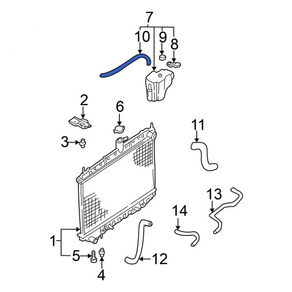 Engine Coolant Reservoir Hose